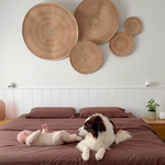 Dog and baby on a bed with decorative woven baskets on the wall