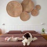 Dog and baby on a bed with decorative woven baskets on the wall